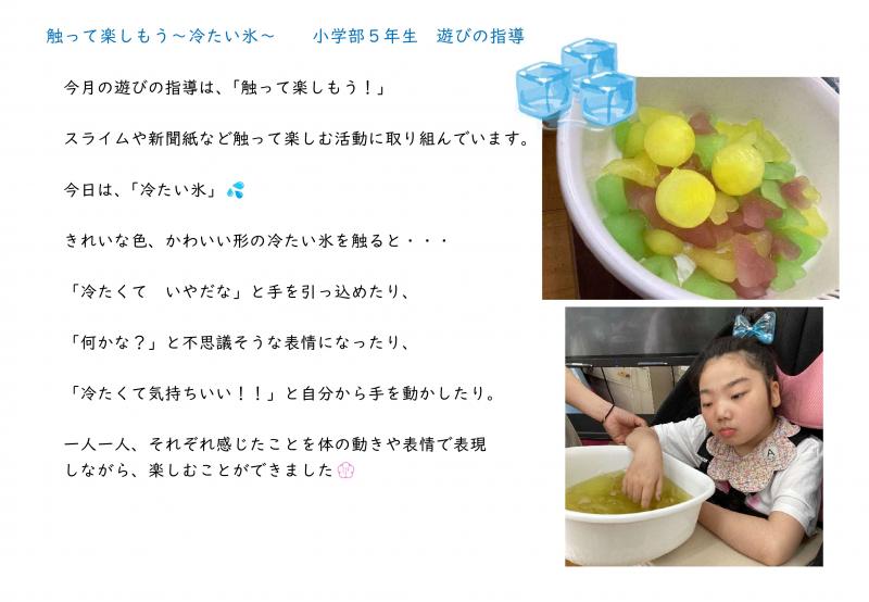 小学部ブログ - 茨城県立水戸特別支援学校